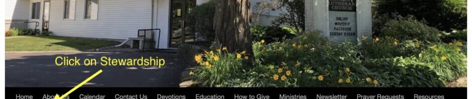 A serene garden with yellow flowers outside a building entrance.
